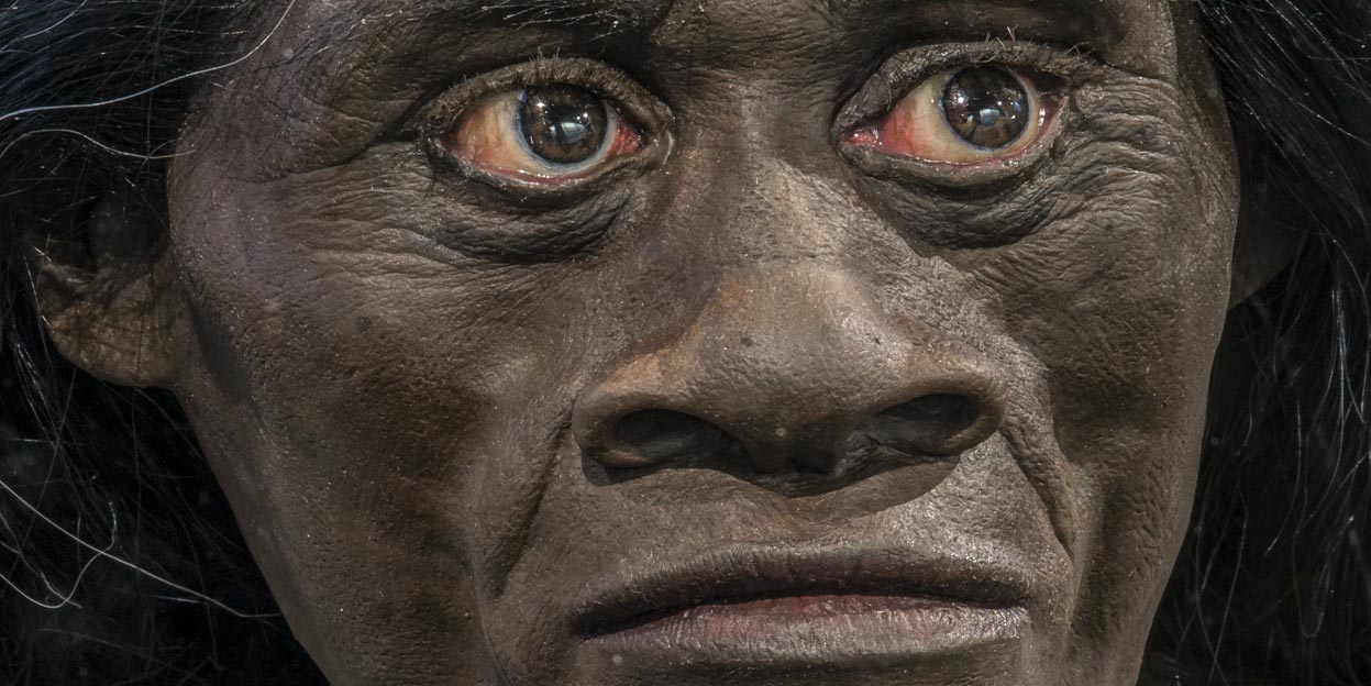 Homo floresiensis (the “hobbit”)
