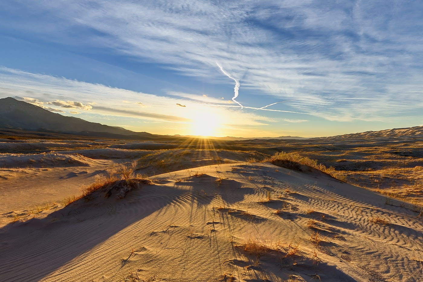 Warm evening light across the rippled dunes of the Mojave Desert