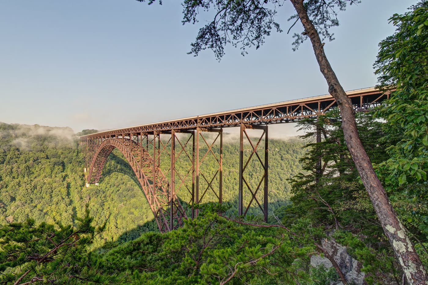 The New River Gorge Bridge rising above the forest in West Virginia